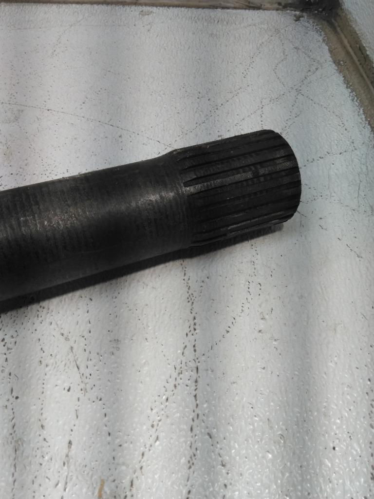 Picture 3