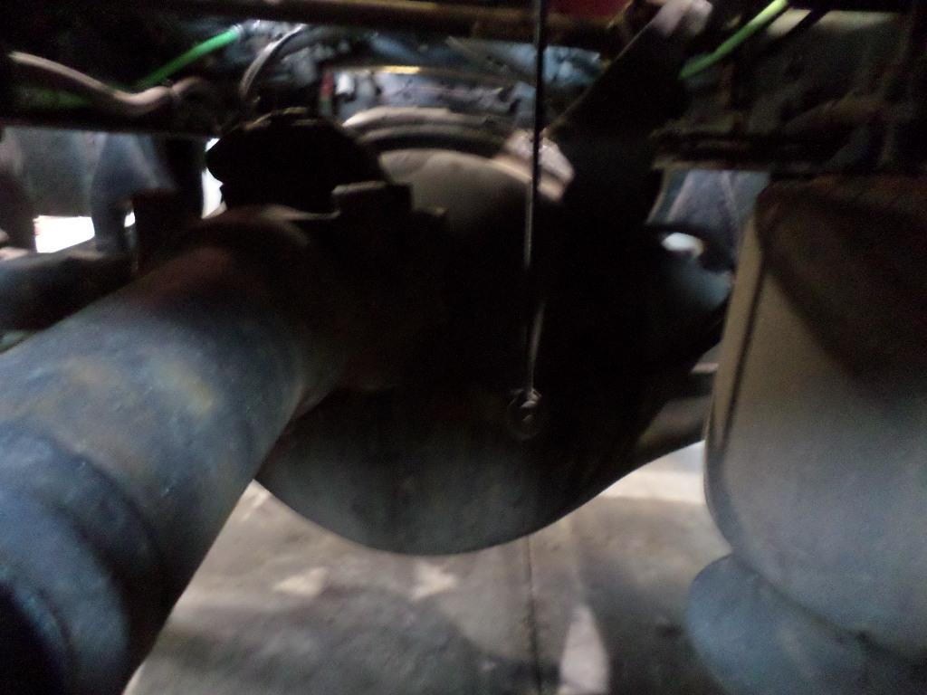Picture 1