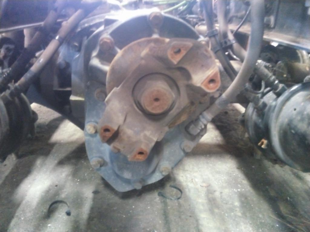 Picture 3