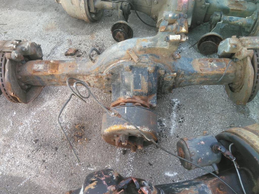 Picture 3