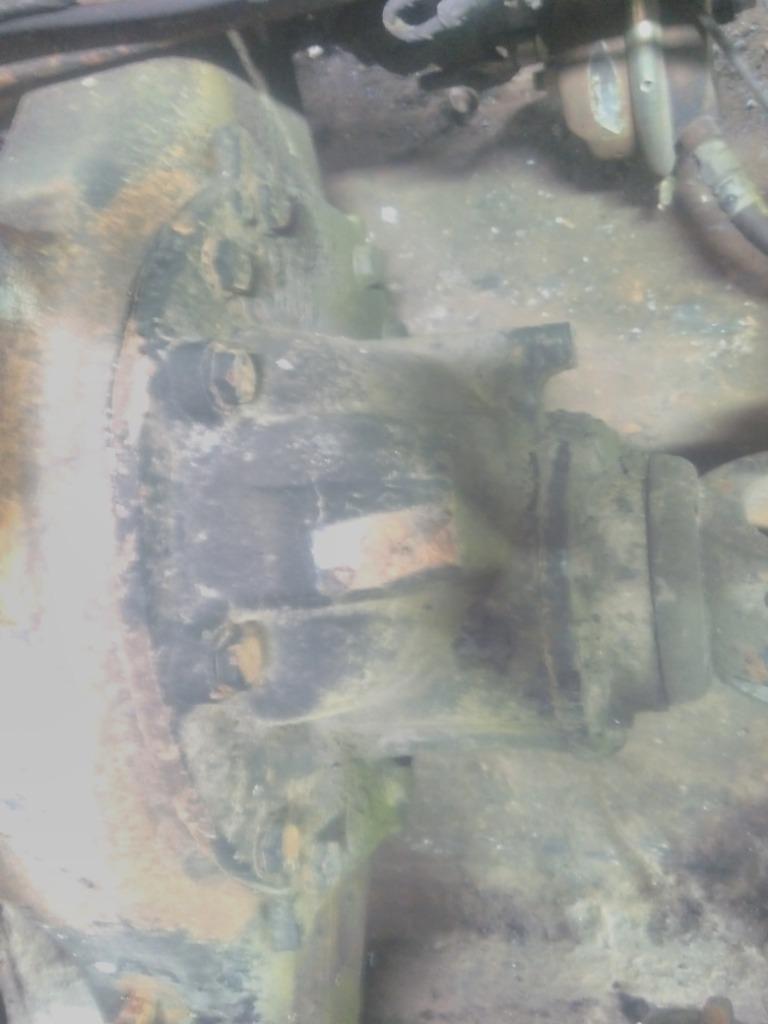 Picture 1