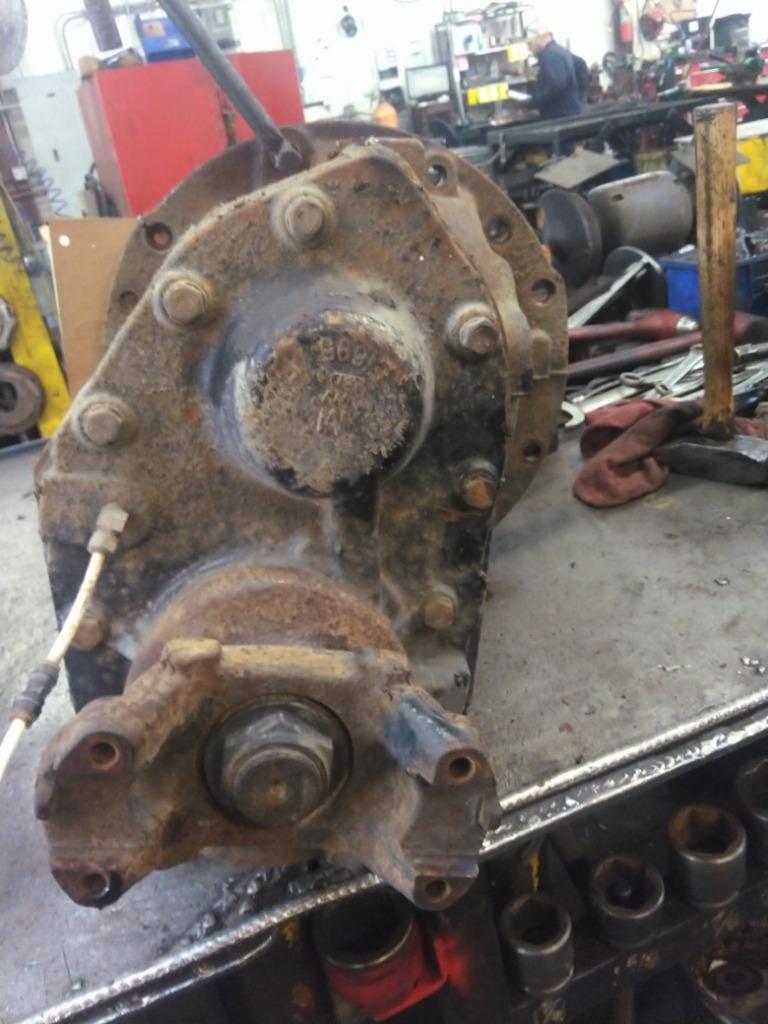 Picture 3