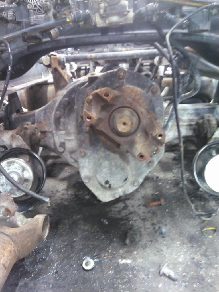 Picture 2