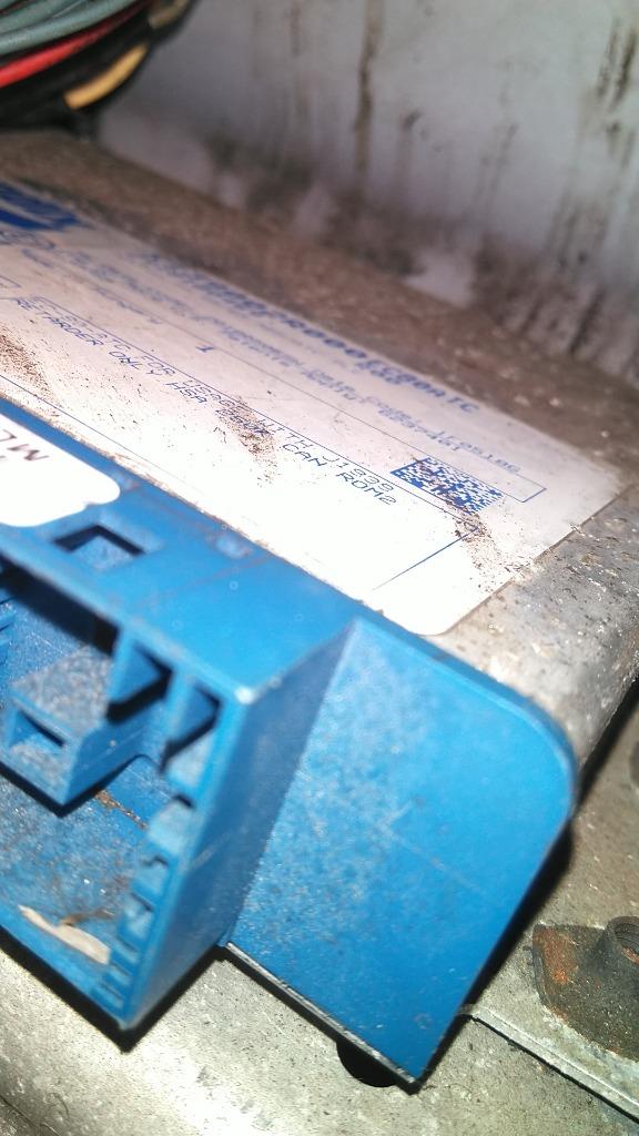 Picture 2